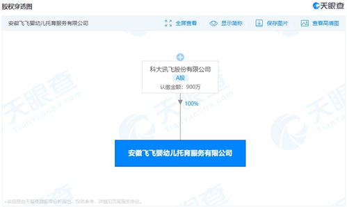 科大訊飛布局嬰幼兒托育服務(wù)，信息系統(tǒng)集成助力多元化發(fā)展
